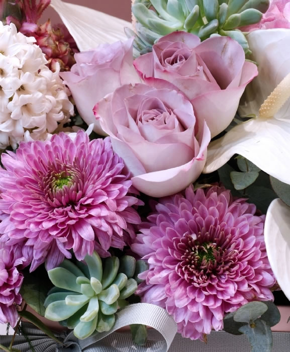 Pink Dreams