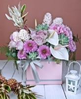 Pink Dreams