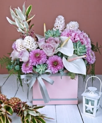 Pink Dreams